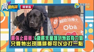 【震震精華版】我有醫院工作證！#醫療輔助犬 陪敷面膜、陪喝下午茶都OK！安寧家屬：只要牠一出現，嗎啡都可以少打一點！