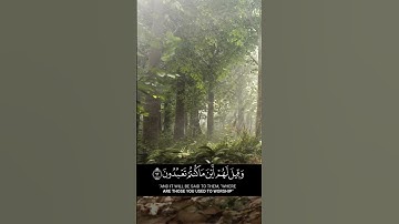تلاوة من سورة الشعراء بصوت القارئ ياسر الدوسري #راحة_نفسية #القرآن_الكريم