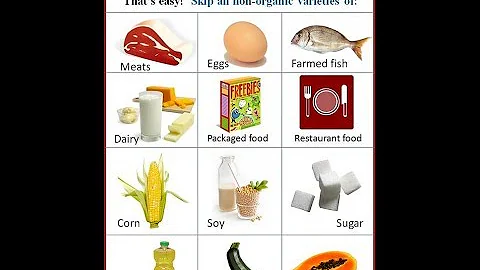 Top 10 GMO Foods To Avoid
