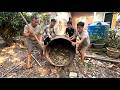 SGiant Python Invades Chicken Farm | Dramatic Rescue by Brave Team Caught on Camera!