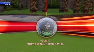 Golden Tee Great Shot on Coral Ridge!