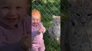 Precious Baby Petting a Bobcat