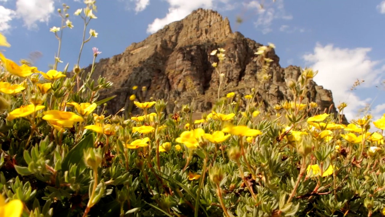 Spring Along the Western Slope, Instrumental Acoustic Indie/Folk Playlist, Chill Music Open Road