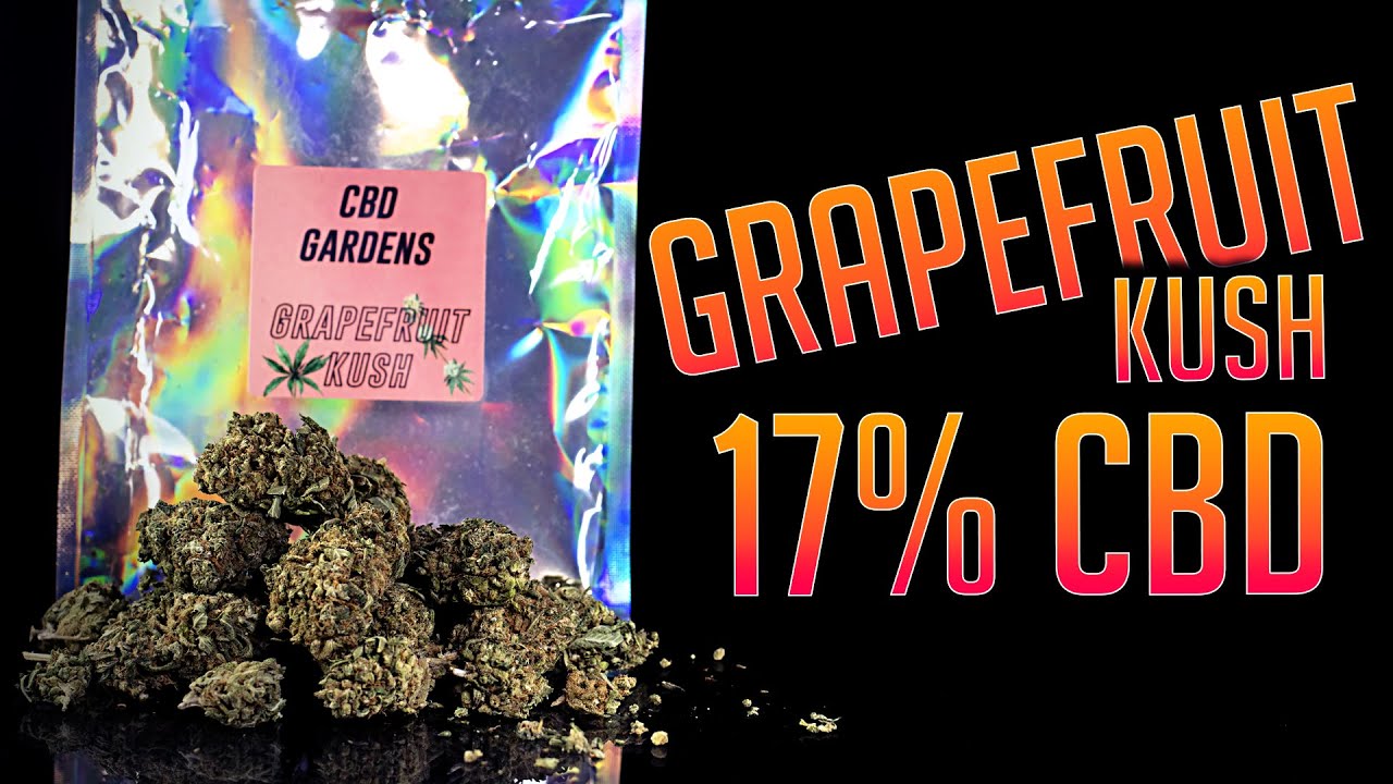 GRAPEFRUIT KUSH 17% CBD | CBDGardens