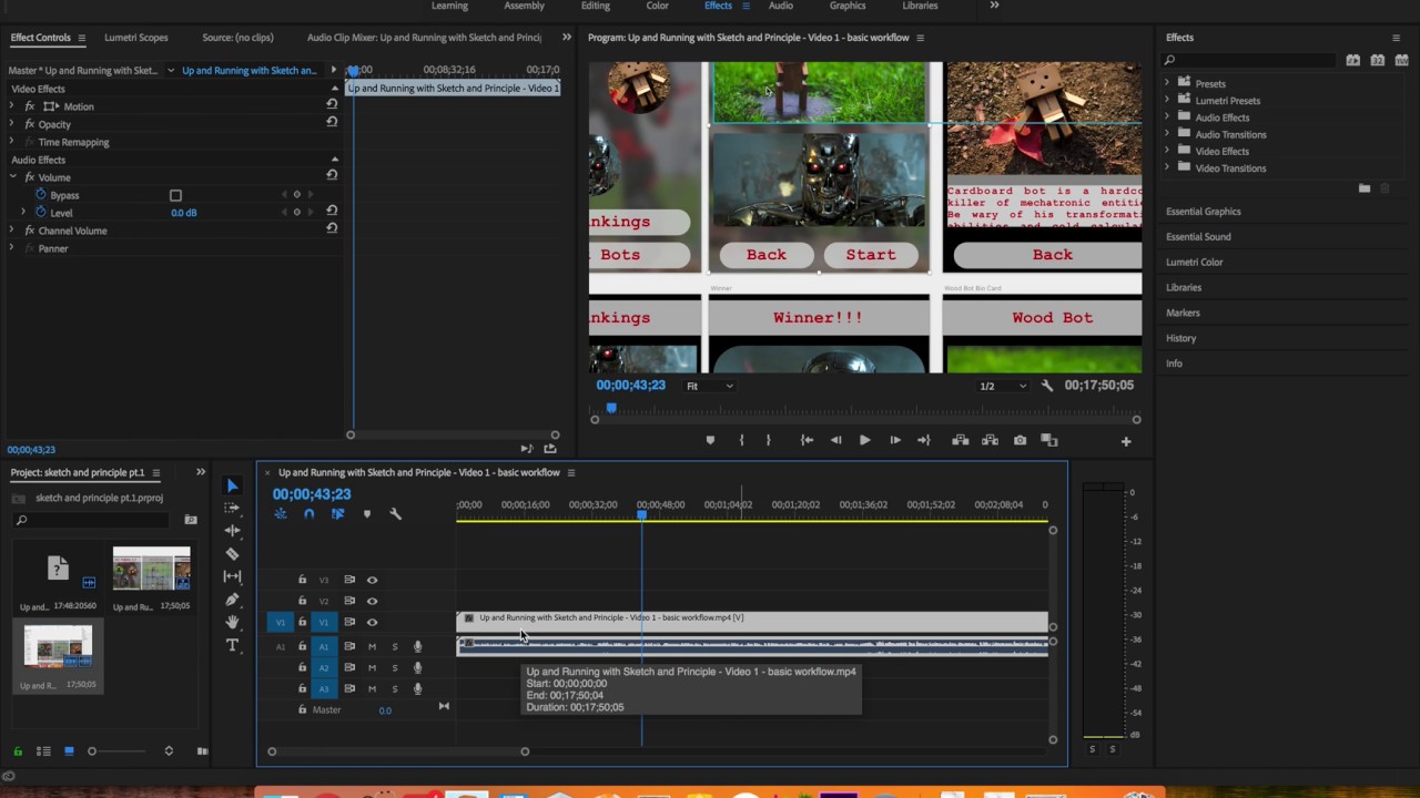 Importing QuickTime Video files mov into Premiere Pro Bug Workaround