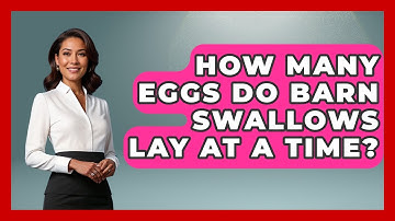 How Many Eggs Do Barn Swallows Lay At A Time? - Bird Watching Diaries