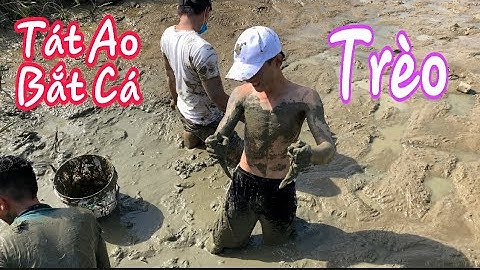 Tát Ao Bắt Cá Lóc Khủng