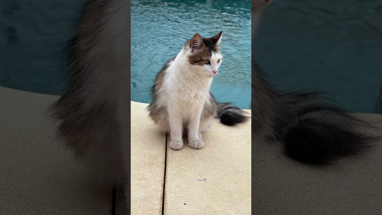 Time with friends😁     