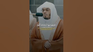 قراءه الشيخ ياسر الدوسري# سورة يونس