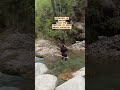 We Discovered This Beautiful Location In Jibhi Himachal Jibhi Himachal Manali We Discovered This Beautiful Location In Jibhi Himachal Jibhi Himachal Manali