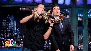 Jeff Musial: Baby Kangaroo, Cougar, Boa Constrictor Part 1 (Late Night with Jimmy Fallon)