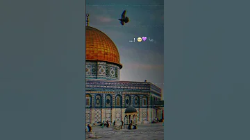 هزتني نسمات الليالي 