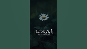 قرآن جميل بصوط ولا أروع ارح سمعك يامسلم#quran #اكسبلور #تلاوة_هادئة