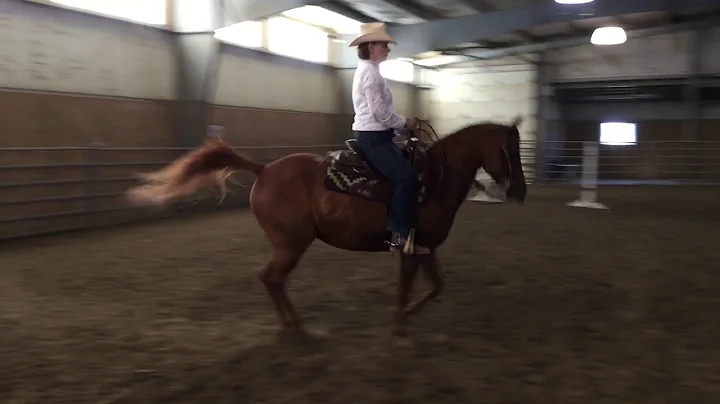 Joan Grauman  #65 Trail Class Over Obstacles (west...