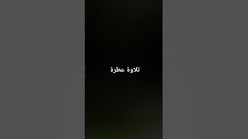 #القرآن_الكريم#راحة_نفسية #تلاوات #صلوا_على_النبي