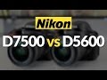 Nikon D7500 vs Nikon D5600/D5500! Which DSLR Should You Buy?
