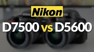 Nikon D7500 vs Nikon D5600/D5500! Which DSLR Should You Buy?