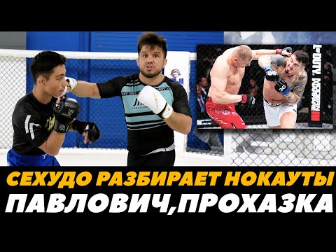 Генри Сехудо разбирает нокауты Павлович - Аспиналл  Перейра - Прохазка  FightSpaceMMA