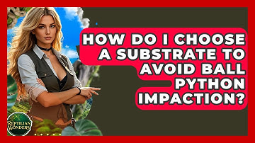 How Do I Choose A Substrate To Avoid Ball Python Impaction? - Reptilian Wonders
