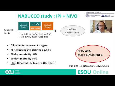 Lecture looking ahead - Potential barriers to immune checkpoint inhibitors use in MIBC