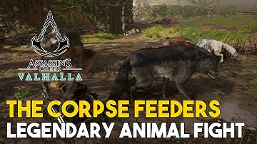 Assassins Creed Valhalla The Corpse Feeders Legendary Animal Fight