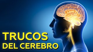 La toma de decisiones: ¿cómo tomar las correctas?