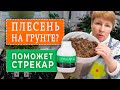 👉СПАСАЕМ грунт от ПЛЕСЕНИ.Знакомство с НОВЫМИ препаратами.Спасибо Ольге Нарышкиной.В видео 2 блогера