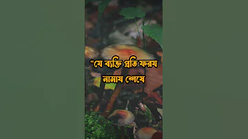 Small Hadith 3 ছ ট হ দ স ৩ 