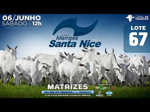 LOTE 67   GRI C3737