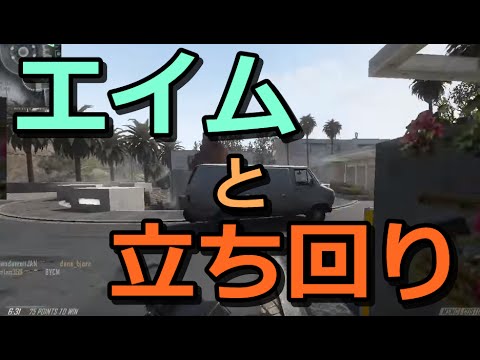 【BO2実況】エイムと立ち回り　どっちが大事？