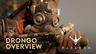 Paragon - Drongo Overview