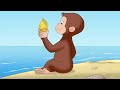 A Concha Perdida de George 🐵 George, o Curioso 🐵 Desenhos Animados