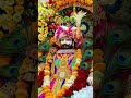 Jay Shri Shyam Baba🙏🏻🙏🏻🙏🏻🌹