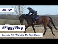 Working My New Horse | Episode 10 | #PiggyVlog 2021 | Piggy March