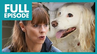Anxious Dog is Scared of the Word ''FIREWORKS' 🎇 | Full Episode | It's Me or the Dog by It's Me or the Dog 20,896 views 3 weeks ago 19 minutes