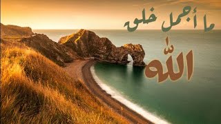 #المصمم_الصغير|| الكتابة علي صورة| برنامج المصمم العربي مع عبدالرحمن screenshot 2