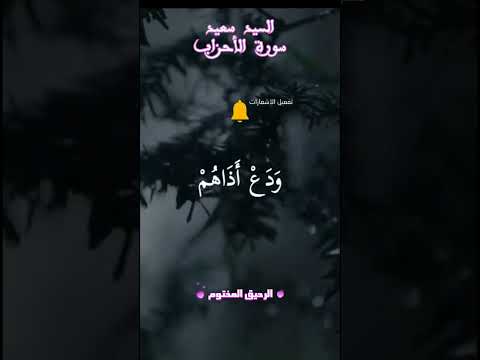 وبشر المؤمنين بأن لهم من الله فضلا كبيرا سورة الأحزاب السيد سعيد