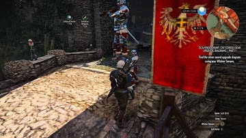 The Witcher 3: Wild Hunt  Floating Guard bug