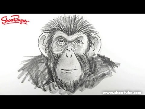 Draw Planet of the Apes