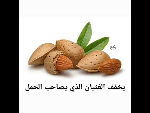 فوائد اللوز النيء لصحة والبشرة فوائد مذهله يجب معرفتها