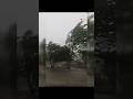 Main Rahoon Ya Na Rahoon ⛈️🌬️ - Armaan Malik | Aesthetic Lyrics Video #AestheticShorts #LyricsShorts