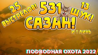 Огромная нарезка с моих подводных охот в 2022 году! На видео 531 сазан, 13 щук и 25 выстрелов!