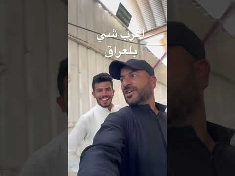 غريب شخص يطعم الجرذان