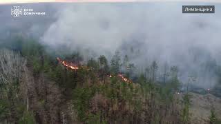 40 га лісової підстилки знищено вогнем на Лиманщині