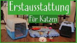 Erstausstattung für Katzen by Kralle und Faden 131,771 views 8 years ago 10 minutes, 19 seconds