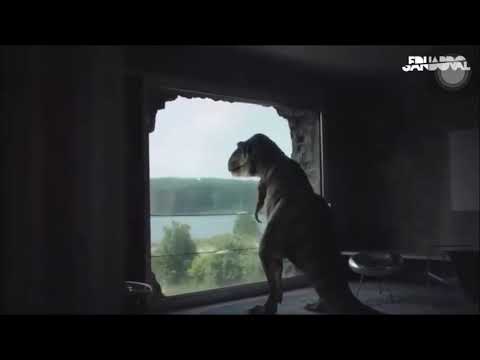 T Rex making bed 🦖 [ Español ] - YouTube