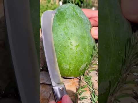 ليييه حرام    عماد وفايز كوميديات اكسبلور