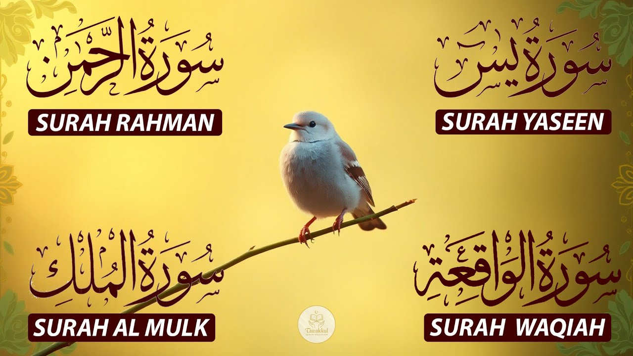 Magical Recitation Surah Yaseen (Yasin) | Surah Rahman | Surah Waqiah | Surah Mulk