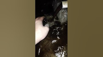 Điện nước Quang huy chuyên vệ sinh, thau rửa bể nước tại nhà call: 0348086188