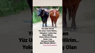 Necip Fazıl Kısakürek Sözleri